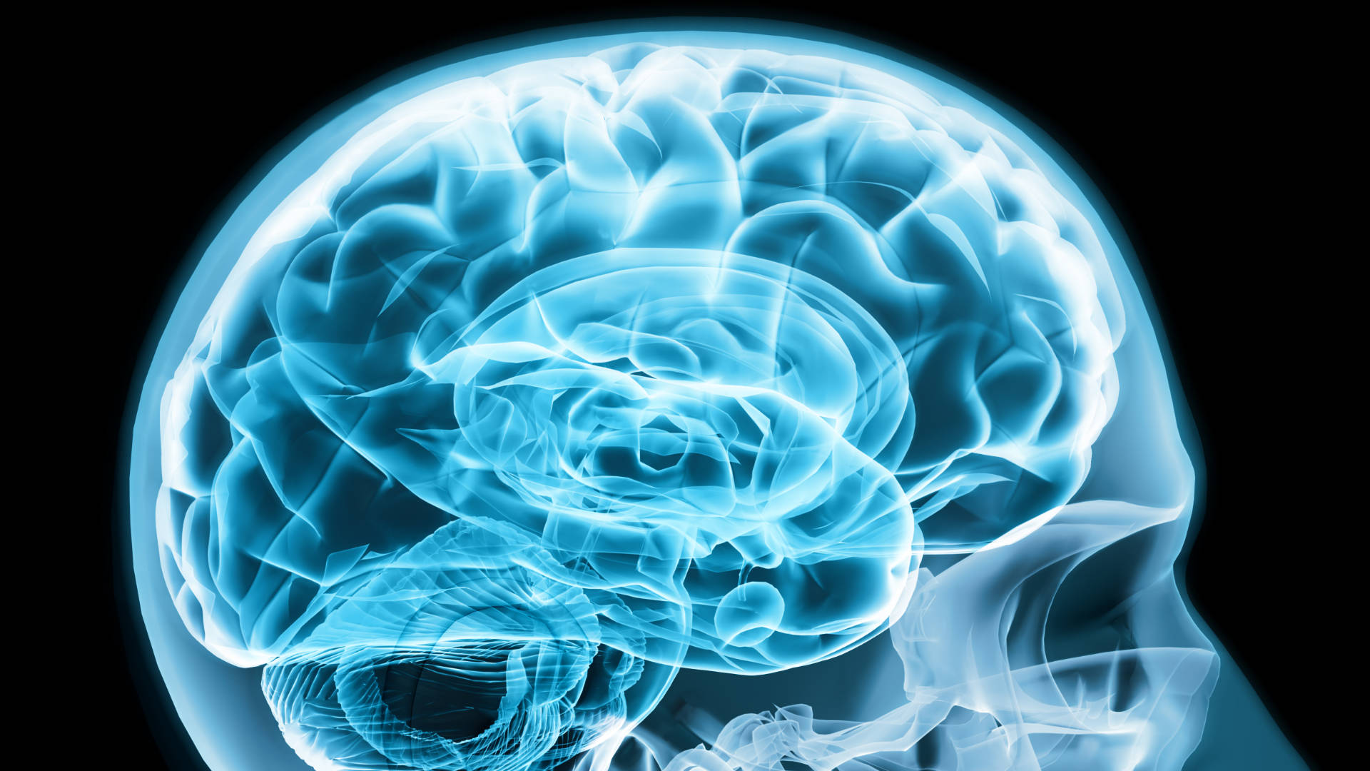 Neuroventas: cómo conectar con el cliente desde la emoción